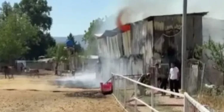 Bursa’da hayvan damı yandı: 1 at, 2 keçi telef oldu