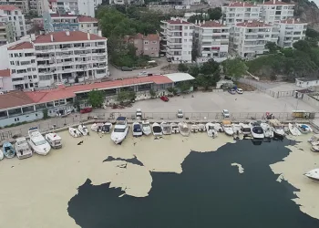 Marmara’nın küçük balıkçılarına “müsilaj” desteği geliyor