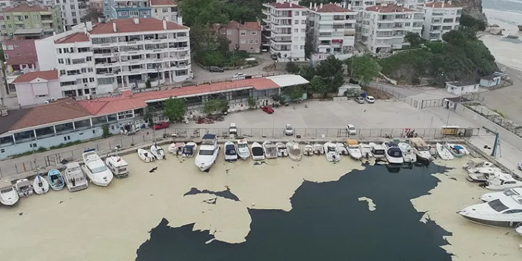 Marmara’nın küçük balıkçılarına “müsilaj” desteği geliyor
