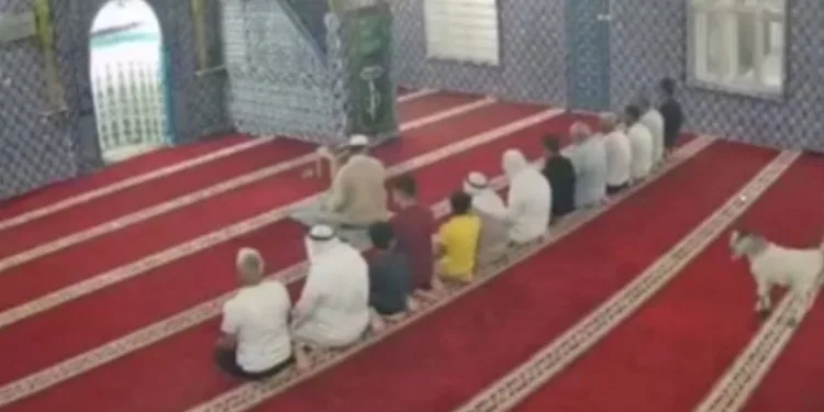 Tekirdağ’da gürültü yapan 16 araca 148 bin TL ceza
