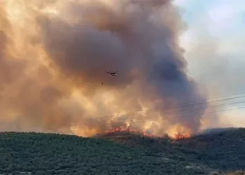 Bursa’da orman yangınıyla amansız mücadele sürüyor
