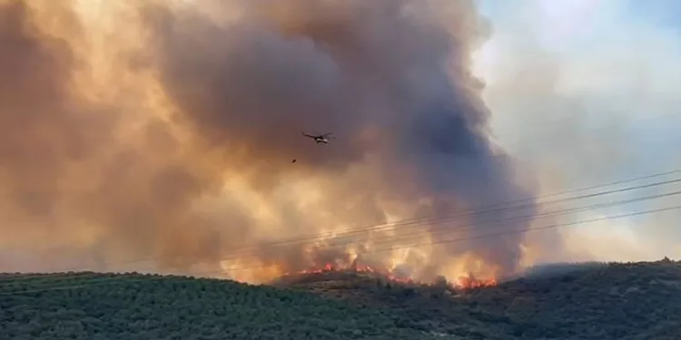 Bursa’da orman yangınıyla amansız mücadele sürüyor
