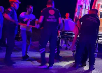 Bursa’daki orman yangını kontrol altına alındı