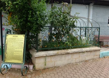 Molla Arap Hazretleri’nin kabrinin hâli, görenleri üzüyor