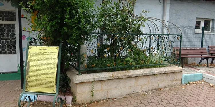 Molla Arap Hazretleri’nin kabrinin hâli, görenleri üzüyor