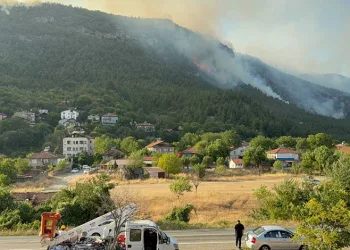 Karabük’te orman yangını: 80 haneli köy tahliye edildi