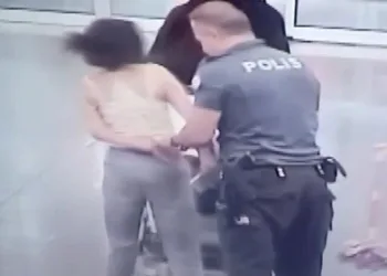 Bir şehir efsanesi: “Kozalak patlaması”