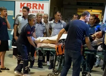 Bursa’daki yangında 300 kovan arı telef oldu