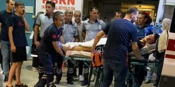 Bursa’daki yangında 300 kovan arı telef oldu