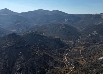 Mersin’de 15 bin dönümden fazla alan küle döndü
