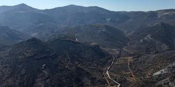 Mersin’de 15 bin dönümden fazla alan küle döndü
