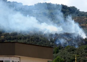 Mudanya’da korkutan yangın
