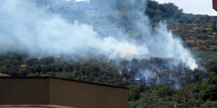 Mudanya’da korkutan yangın