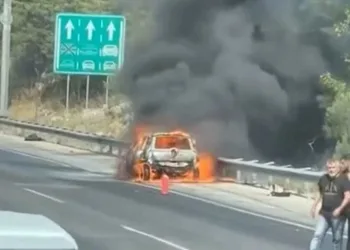 Otoyoldaki yangın ormana sıçradı