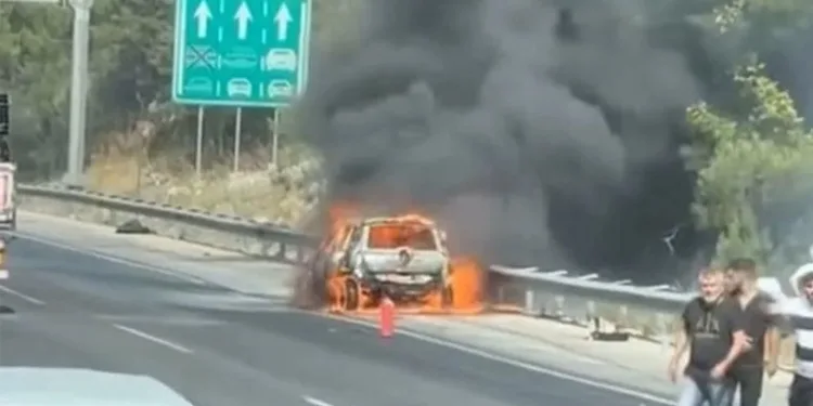 Otoyoldaki yangın ormana sıçradı