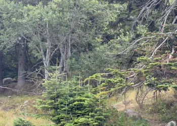 Başkan Erkan Aydın Mürseller’de vatandaşla buluştu