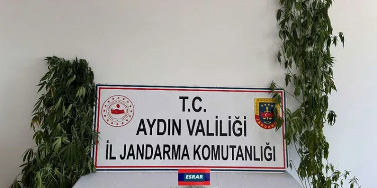 Erzincan’da otomobil koyun sürüsüne daldı