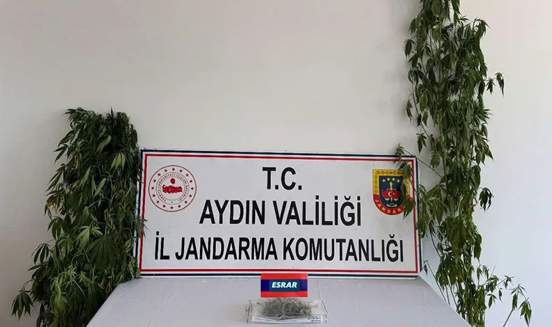 Erzincan’da otomobil koyun sürüsüne daldı