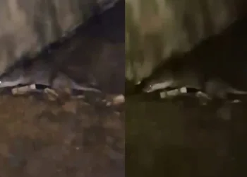 Bursa’da kavşakta iki otomobil çarpıştı: 3 yaralı