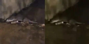 Bursa’da kavşakta iki otomobil çarpıştı: 3 yaralı
