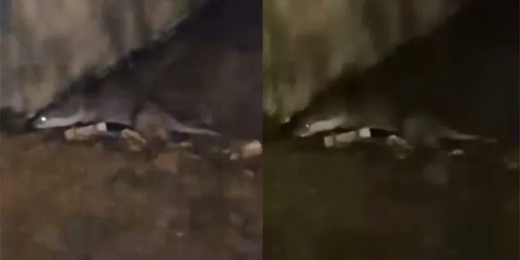 Bursa’da kavşakta iki otomobil çarpıştı: 3 yaralı
