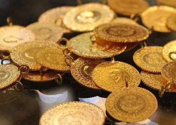 Bursa’daki orman yangını kontrol altına alındı
