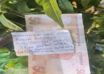 İnsanlık ölmemiş dedirten hareket
