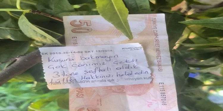 İnsanlık ölmemiş dedirten hareket