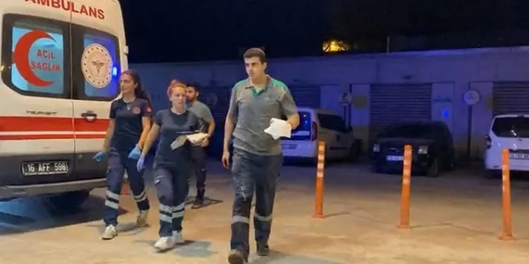 Milyonluk taylar kapış kapış gitti