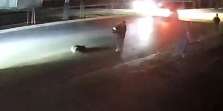 Cezalara rağmen kırmızı et ürünlerinde sahtecilik sürüyor