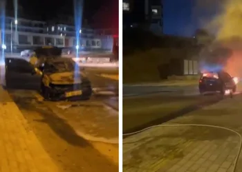 Karagöz Bursalıların gönlüne perde kurdu