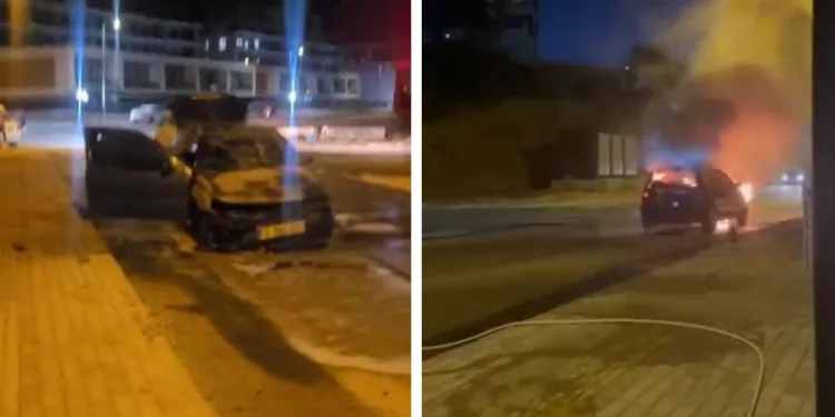 Karagöz Bursalıların gönlüne perde kurdu