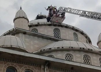 Cami kubbesinde mahsur kalan leyleği itfaiye kurtardı