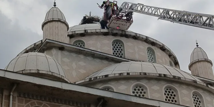 Cami kubbesinde mahsur kalan leyleği itfaiye kurtardı