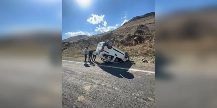 Mısır tarlası zehir tarlası çıktı