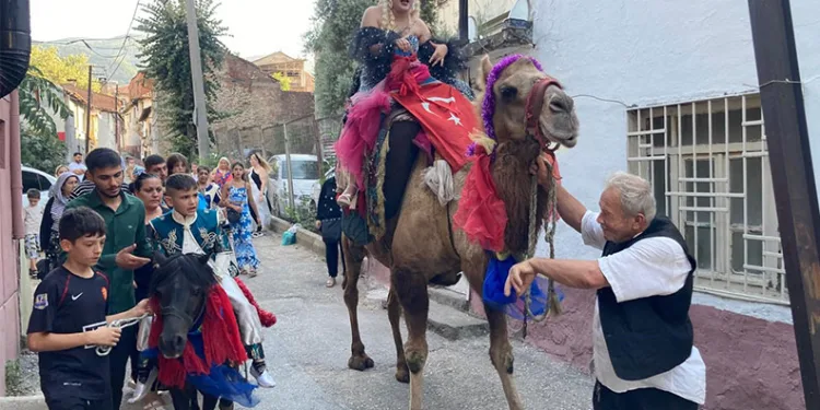 Böyle düğün görülmedi, anne deveye sünnet çocuğu Midilliye bindi