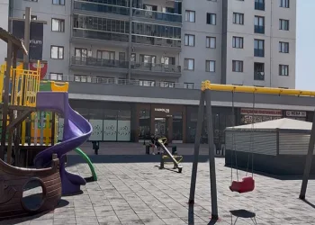Parkta oynayan çocukları yerden yere vurdu