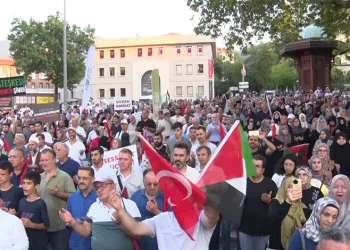 Bir şehir efsanesi: “Kozalak patlaması”