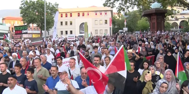 Bir şehir efsanesi: “Kozalak patlaması”