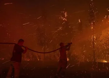 Çanakkale ve Edirne’deki orman yangınlarında son durum