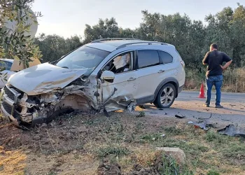 Bir şehir efsanesi: “Kozalak patlaması”