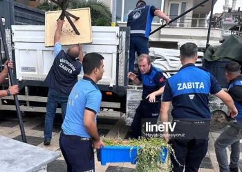 Güzelyalı