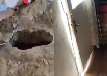 Düğün konvoyu, yine alışıldık görüntüler