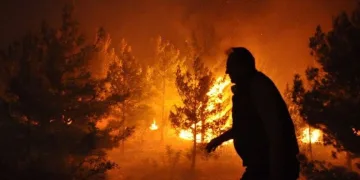 Mersin ve Hatay’da yangın: 5 ilden takviye geldi, kara yolu kapatıldı