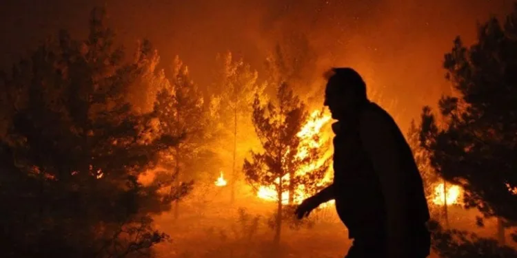 Mersin ve Hatay’da yangın: 5 ilden takviye geldi, kara yolu kapatıldı