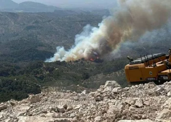 Bolu, Çanakkale, Manisa, Mersin ve Aydın’da orman yangını