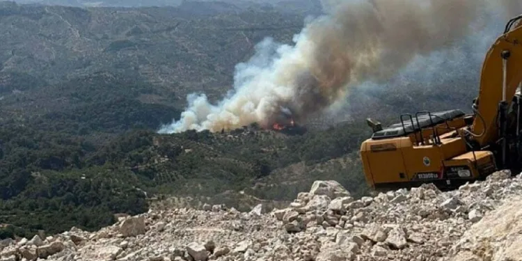 Bolu, Çanakkale, Manisa, Mersin ve Aydın’da orman yangını
