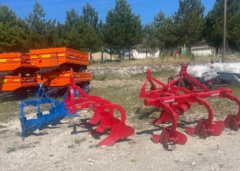 Bir şehir efsanesi: “Kozalak patlaması”