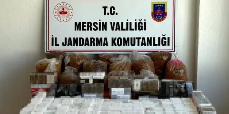 Ölümle sonuçlanan kazanın faili jandarmanın takibiyle yakalandı