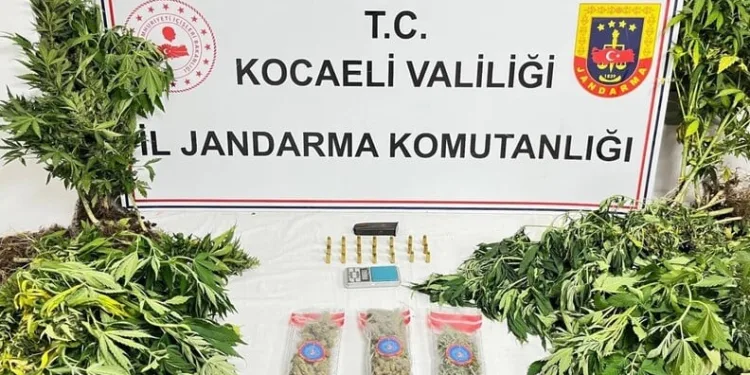 Ölümle sonuçlanan kazanın faili jandarmanın takibiyle yakalandı